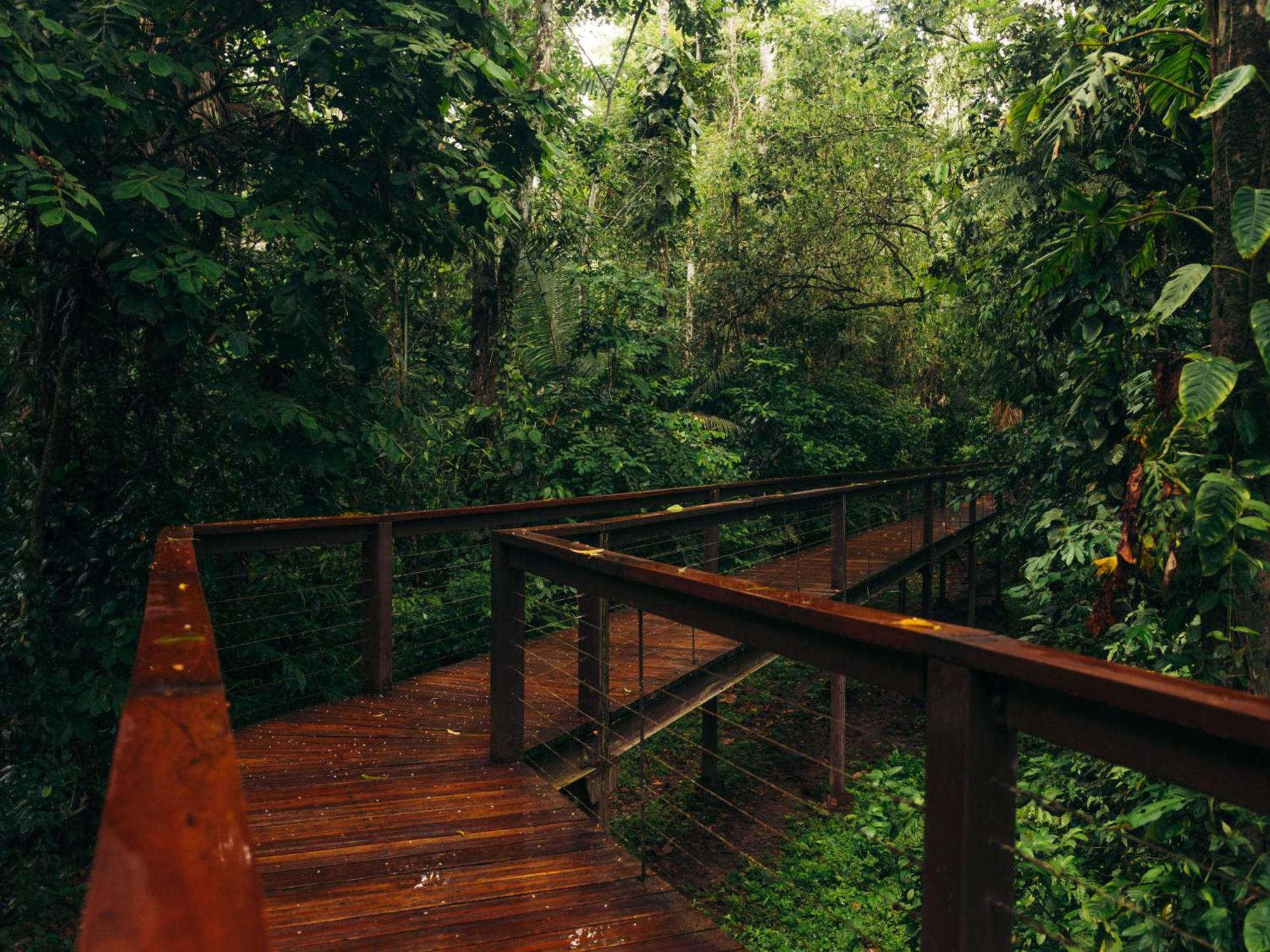 Tambopata Research Center Vila Exterior foto