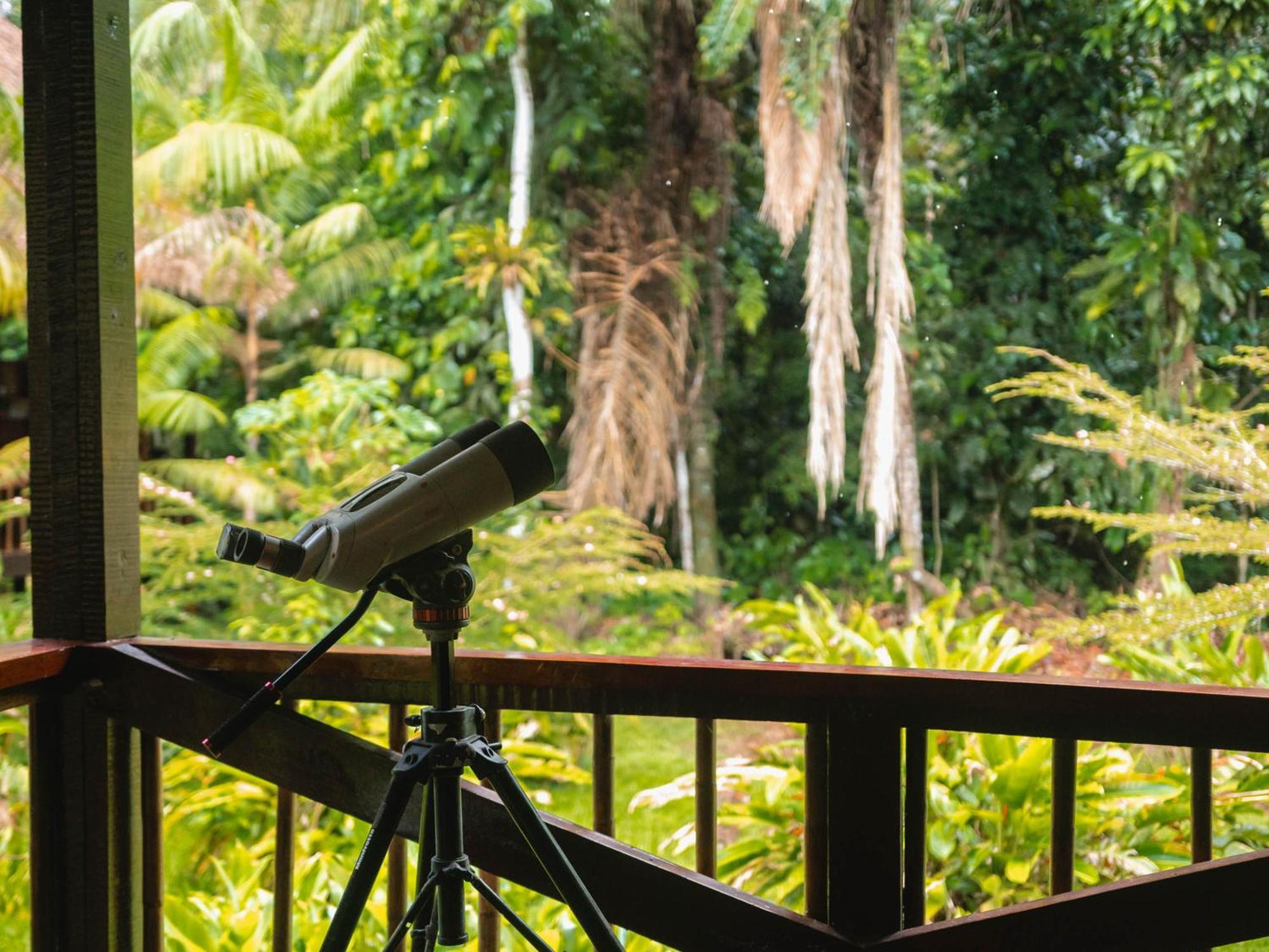 Tambopata Research Center Vila Exterior foto